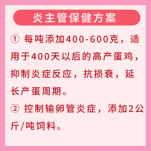 炎主管--抗炎整肠促生产（抗损衰新产品）--1kg